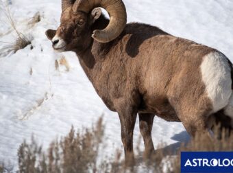 Διάβασε την προσωπική σου πρόβλεψη, για σήμερα 11/01/2025