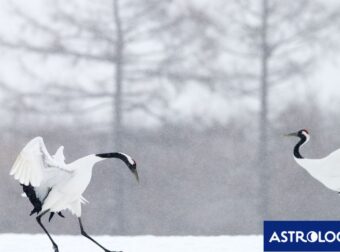 Διάβασε την προσωπική σου πρόβλεψη, για σήμερα 07/01/2025