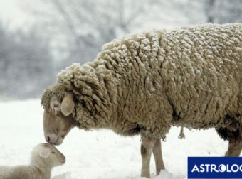 Διάβασε την προσωπική σου πρόβλεψη, για σήμερα 05/01/2025