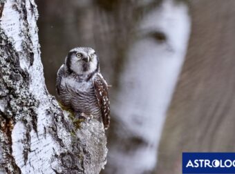 Διάβασε την προσωπική σου πρόβλεψη, για σήμερα 13/01/2025