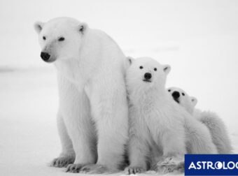 Διάβασε την προσωπική σου πρόβλεψη, για σήμερα 16/02/2025