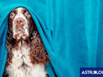 Ζώδια Σήμερα 05/02: Ανασφάλειες και διεκδικήσεις