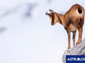 Διάβασε την προσωπική σου πρόβλεψη, για σήμερα 14/02/2025