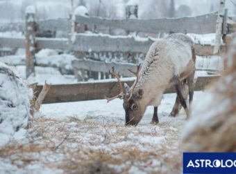 Διάβασε την προσωπική σου πρόβλεψη, για σήμερα 12/02/2025