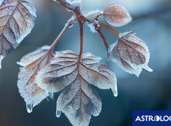 Διάβασε την προσωπική σου πρόβλεψη, για σήμερα 21/02/2025