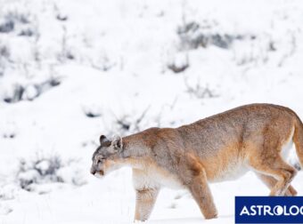 Διάβασε την προσωπική σου πρόβλεψη, για σήμερα 26/02/2025