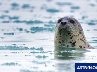 Διάβασε την προσωπική σου πρόβλεψη, για σήμερα 20/02/2025