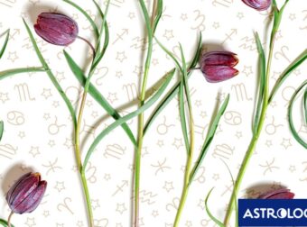 Εβδομαδιαίες προβλέψεις από 23/02 έως 01/03: Αλλαγή φρουράς