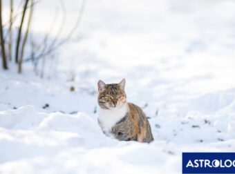 Διάβασε την προσωπική σου πρόβλεψη, για σήμερα 02/02/2025