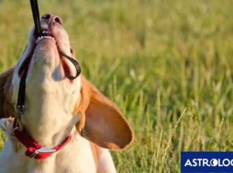 Δύο ζώδια θα γίνουν πιο επίμονοι και απόλυτοι, σήμερα, 06/02