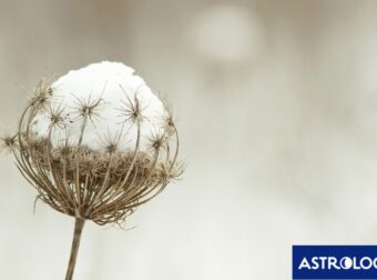 Διάβασε την προσωπική σου πρόβλεψη, για σήμερα 01/02/2025