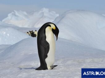 Διάβασε την προσωπική σου πρόβλεψη, για σήμερα 04/02/2025
