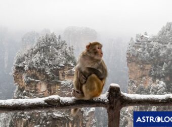 Διάβασε την προσωπική σου πρόβλεψη, για σήμερα 10/02/2025