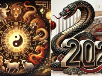 Κινέζικη Πρωτοχρονιά – Το Έτος του Φιδιού: Τι φέρνει το 2025 σε κάθε ζώδιο και πώς να βρείτε ποιο είστε στην Αστρολογία των Κινέζων