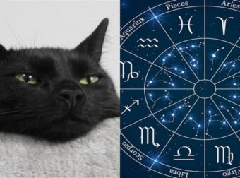 Τα 3 πιο άτυχα ζώδια της εβδομάδας – Αναποδιές, τσακωμοί, οικονομικές δυσκολίες