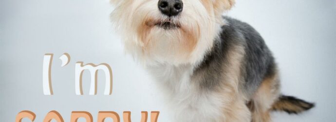 Τα ζώδια που μετά από χρόνια καταλαβαίνουν τα λάθη τους στη σχέση και ζητούν συγχώρεση