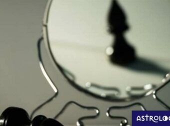 Αυτά τα ζώδια αρνούνται να δεχτούν ότι έχασαν μια μάχη