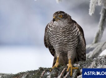 Διάβασε την προσωπική σου πρόβλεψη, για σήμερα 08/02/2025