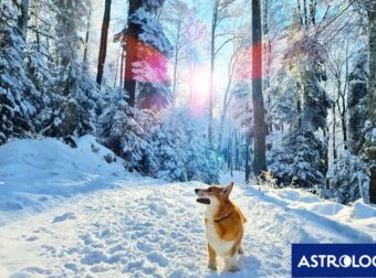 Διάβασε την προσωπική σου πρόβλεψη, για σήμερα 18/02/2025