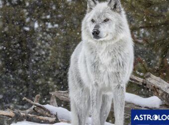 Διάβασε την προσωπική σου πρόβλεψη, για σήμερα 24/02/2025