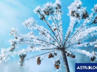 Διάβασε την προσωπική σου πρόβλεψη, για σήμερα 17/02/2025