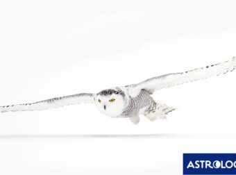 Διάβασε την προσωπική σου πρόβλεψη, για σήμερα 28/02/2025