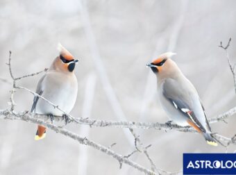 Διάβασε την προσωπική σου πρόβλεψη, για σήμερα 06/02/2025
