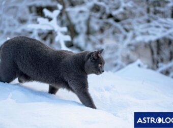 Διάβασε την προσωπική σου πρόβλεψη, για σήμερα 22/02/2025