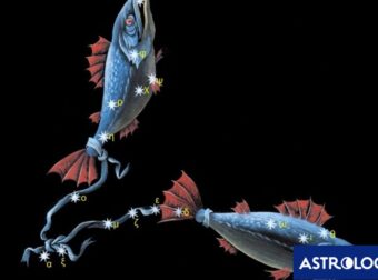 Τα θετικά χαρακτηριστικά του Ιχθύ