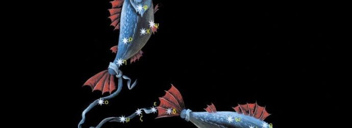 Τα θετικά χαρακτηριστικά του Ιχθύ