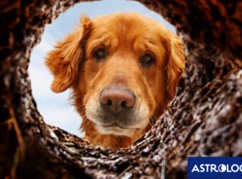 Ζώδια Σήμερα 26/03: Κάνε μια «εξερεύνηση εδάφους»