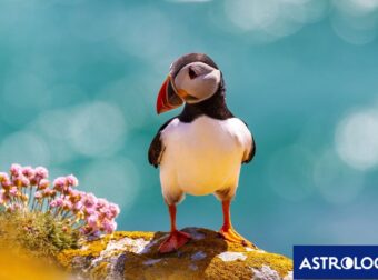 Διάβασε την προσωπική σου πρόβλεψη, για σήμερα 22/03/2025