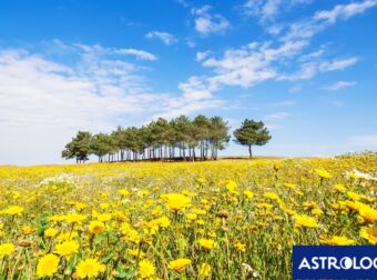 Μάρτιος 2025: Όλα όσα χρειάζεται να γνωρίζεις για τους πλανήτες και τα ζώδια