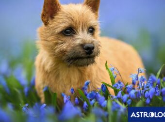 Διάβασε την προσωπική σου πρόβλεψη, για σήμερα 12/03/2025