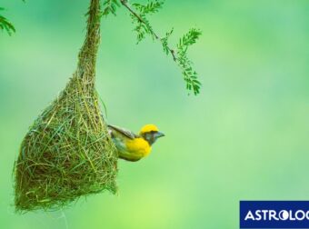 Διάβασε την προσωπική σου πρόβλεψη, για σήμερα 04/03/2025