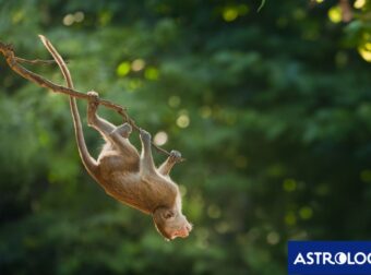 Διάβασε την προσωπική σου πρόβλεψη, για σήμερα 10/03/2025