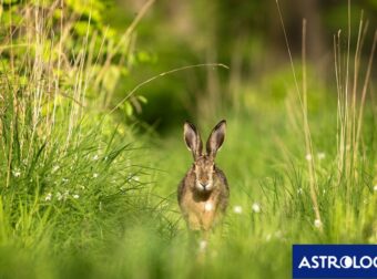 Διάβασε την προσωπική σου πρόβλεψη, για σήμερα 16/03/2025