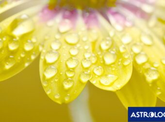 Διάβασε την προσωπική σου πρόβλεψη, για σήμερα 11/03/2025