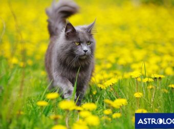 Διάβασε την προσωπική σου πρόβλεψη, για σήμερα 06/03/2025