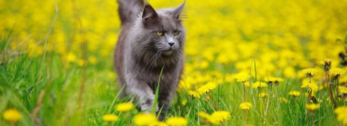 Διάβασε την προσωπική σου πρόβλεψη, για σήμερα 06/03/2025