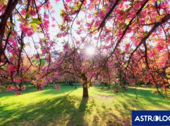 Διάβασε την προσωπική σου πρόβλεψη, για σήμερα 09/03/2025