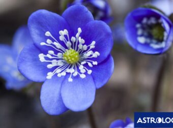 Διάβασε την προσωπική σου πρόβλεψη, για σήμερα 29/03/2025