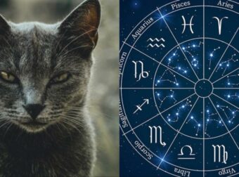 Απρόβλεπτος, κυκλοθυμικός και λέει πολλά ψέματα: Αυτό είναι το πιο τοξικό ζώδιο και από τα 12 – Καλύτερα μείνε μακριά του