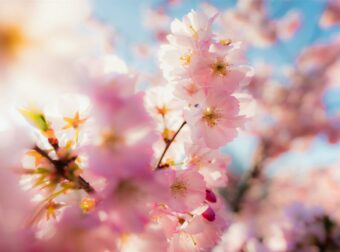 Ζώδια σήμερα 1/3: Νέος μήνας, με νέες εκπλήξεις!