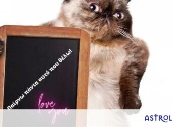 Τα 4 πιο καπάτσα ζώδια