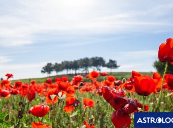 Διάβασε την προσωπική σου πρόβλεψη, για σήμερα 31/03/2025