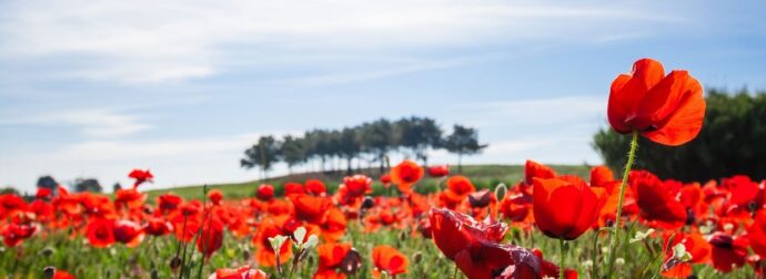 Διάβασε την προσωπική σου πρόβλεψη, για σήμερα 31/03/2025