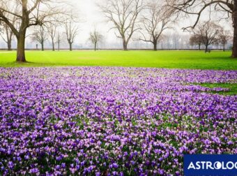 Διάβασε την προσωπική σου πρόβλεψη, για σήμερα 19/03/2025