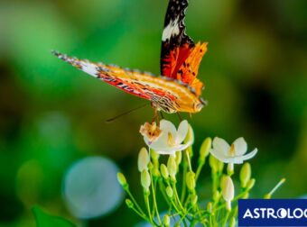Διάβασε την προσωπική σου πρόβλεψη, για σήμερα 26/03/2025