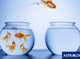 Όλοι σας και… μόνος μου! Ψήφισε και πες μας ποιο ζώδιο θα το έλεγε αυτό